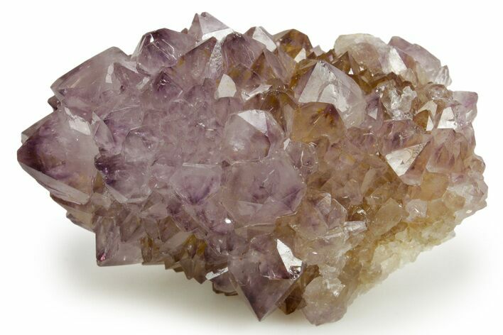 Deep-Purple Cactus Amethyst Crystal Cluster - South Africa #364614